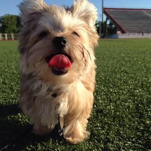 Meet your Posher, Rebecca